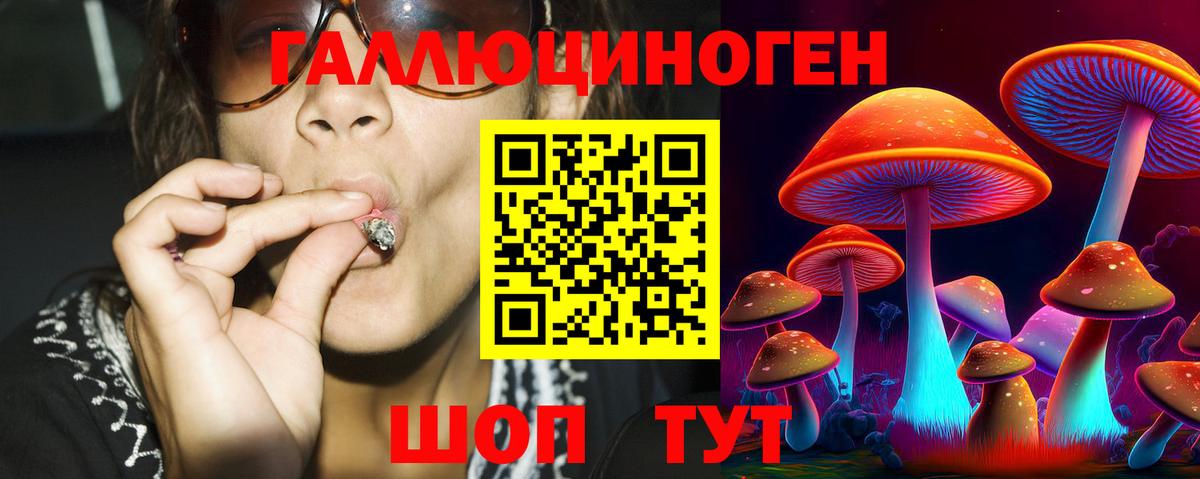 Псилоцибиновые грибы GOLDEN TEACHER Симферополь