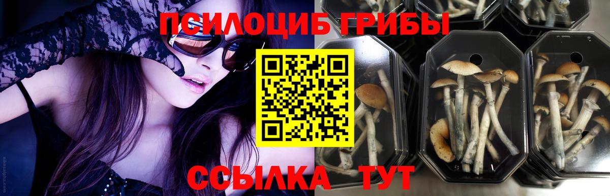 Галлюциногенные грибы Magic Shrooms  Вход с VPN  Галлюциногенные грибы Psilocybe  Симферополь 