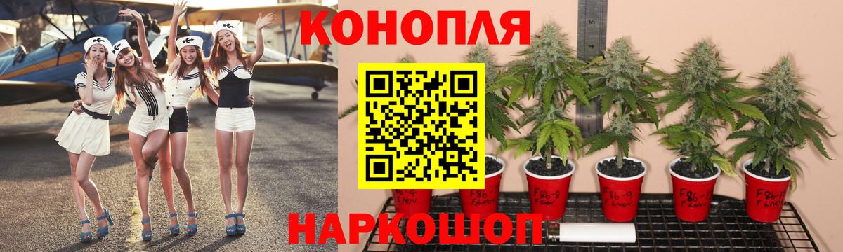 Марихуана сатива Симферополь